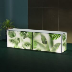 RAY 90 MYSTICAL BOTANIC