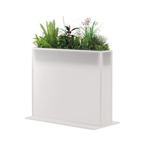 SONJA PLANT 120