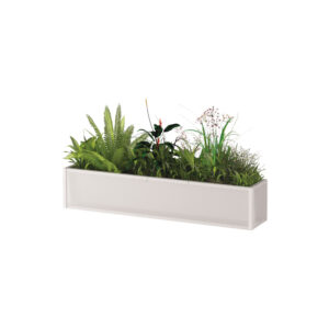 SONJA PLANT 30
